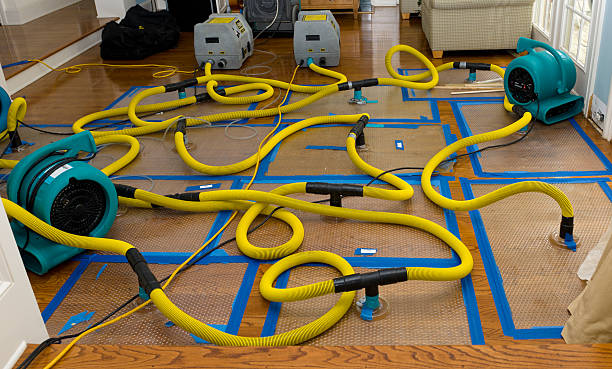 Professional Water Damage Restoration technician working in Carbondale, PA